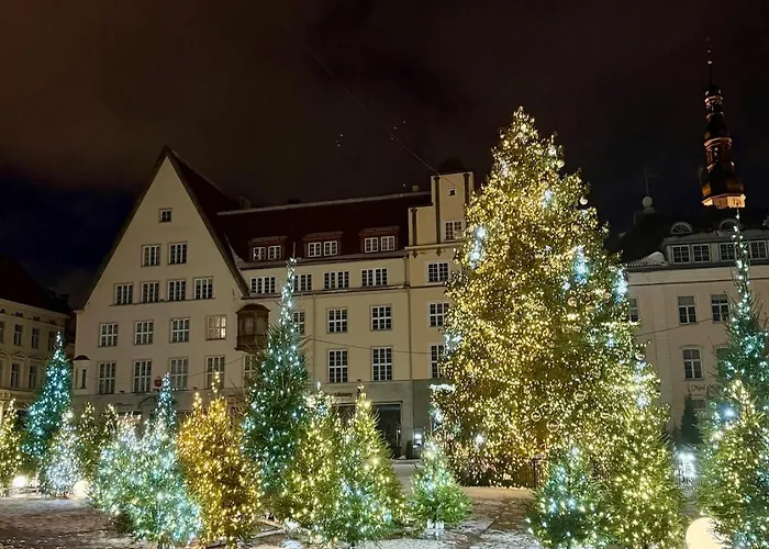 Stylish With Sauna Old Town, Town Hall Square Reval